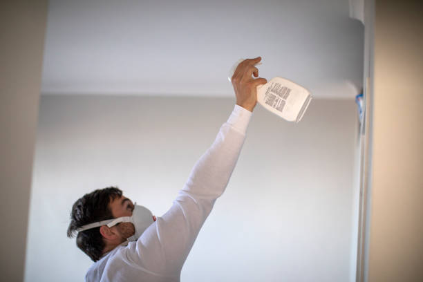 Best Fast Mold Removal  in Kgsford Heights, IN