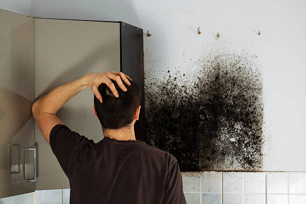 Crawl Space Mold Removal in Kingsford Heights, IN